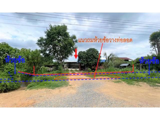 ขายบ้านไม้ใต้ถุนสูง  อำเภอแม่จริม  น่าน