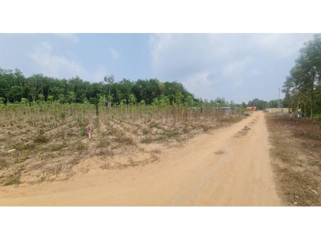 ขายที่ดิน ซ.2 แม่น้ำคู้ ฝั่งอ่างเก็บน้ำหนองปลาไหล อ.ปลวกแดง จ.ระยอง