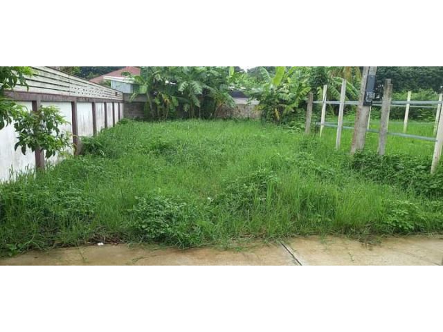 ขายที่ดินสันทรายสันทรายหลวงบ้านข้าวแท่นพร้อมโอน