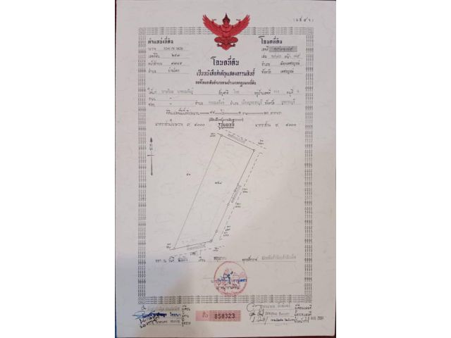 ต.บ้านโคก 44 ไร่ (ไร่ละ 185,000 บาท)