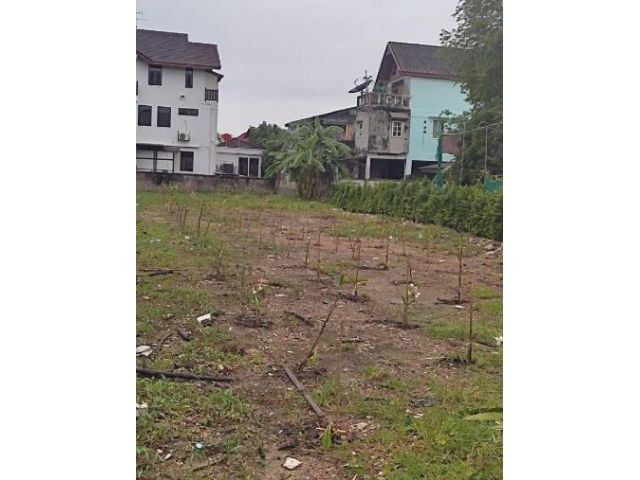 NT254 ขายที่ดิน208 ตรว ติดถนนติวานนท์ ด้านหลังเมืองทอง ปากเกร็ด นนทบุรี   ขายที่ดิน ทำเลดี ติดถนนใหญ่ ด้านหลังเมืองทอง ถ
