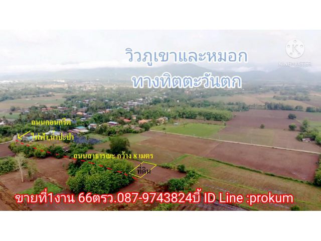 ขายที่ 1 งาน 66 ตรว.(โฉนด) 250,000 บาท