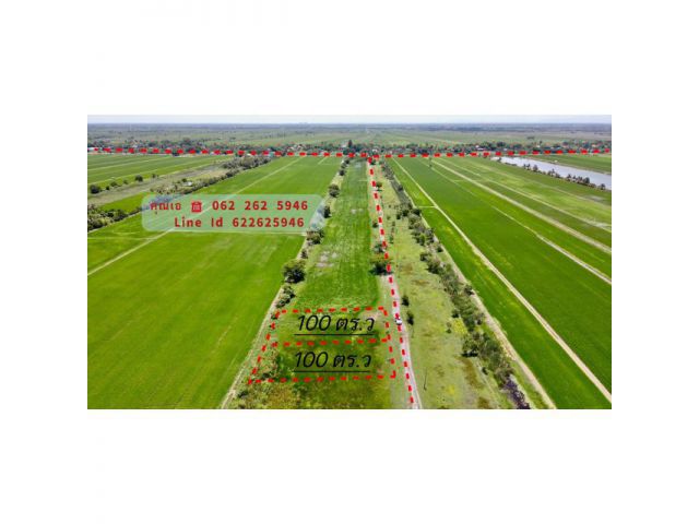 ขายที่ดินสวยนครนายก 100 ตร.ว. มีเพียง 2 ล็อคเท่านั้น โฉนดพร้อมโอน สนใจติดต่อคุณเอ 062-2625946