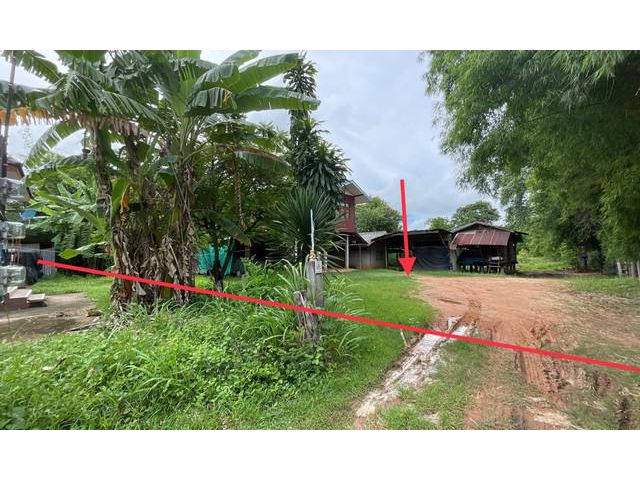 ขายบ้านเดี่ยวใกล้โรงพยาบาลแวงใหญ่ อำเภอแวงใหญ่ จังหวัดขอนแก่น
