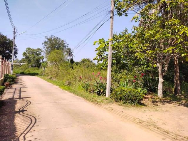 ขายที่ดินท่าถ่าน 330 ตรว. ติดถ.คอนกรีต หลังหมู่บ้านรุ่งพิทักษ์ ใกล้ถ.3076 - 800 เมตร พนมสารคาม ฉะเชิงเทรา