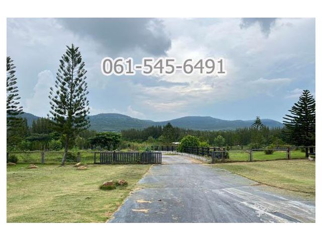 ขาย ที่ดิน 73 ไร่ คลองม่วง ปากช่อง จ.นครราชสีมา ที่ดินบนเนินเขา เห็นวิว เขายายเที่ยง ทำเลดี เดินทางสะดวก