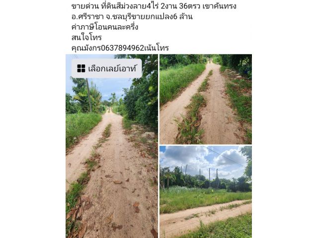 ขายด่วน ที่ดินสีม่วงลาย4ไร่ 2งาน 36ตรว เขาคันทรง อ.ศรีราชา จ.ชลบุรีขายยกแปลง6 ล้าน ค่าภาษีโอนคนละครึ่ง  สนใจโทร คุณมังกร