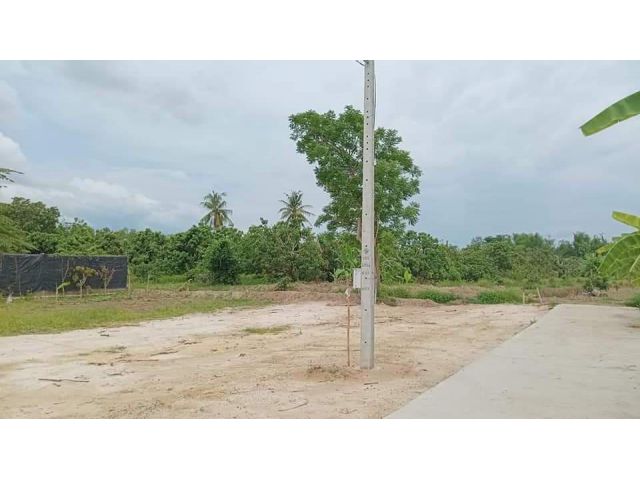 ขายที่ดินบ้านขัวมุงสารภีห่างตลาดน้ำโท้งเพียง 2.5 กม