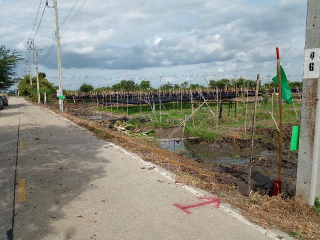 ที่ดินถูกสุดในย่าน