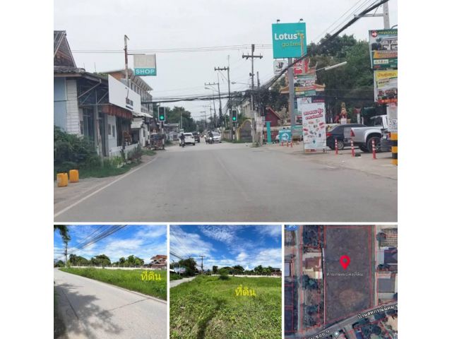 #*ขายที่ดิน900ต.ร.ว.อยู่ติดถนนสหกรณ์นิคม9 ใกล้สี่แยก วัดมงคลเศรษฐี ใกล้ ม.แม่โจ้ ใกล้ สภ.แม่โจ้ ขายถูกที่สุดในย่านนี้.