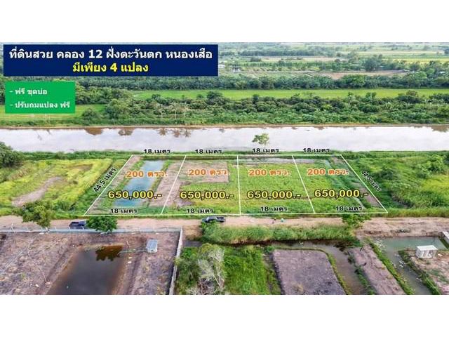 ที่ดินคลอง12 ขายถูก อ.หนองเสือ จ.ปทุมธานี