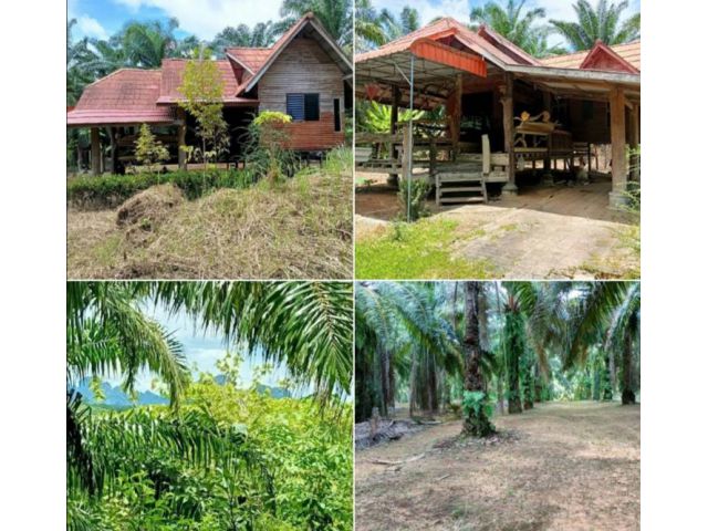 ขายบ้านและสวนข้างหลังติดทะเล