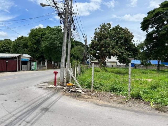 ขายที่ดินติดแม่น้ำปิงตำบลป่าตันแปลงหัวมุมพร้อมโอน