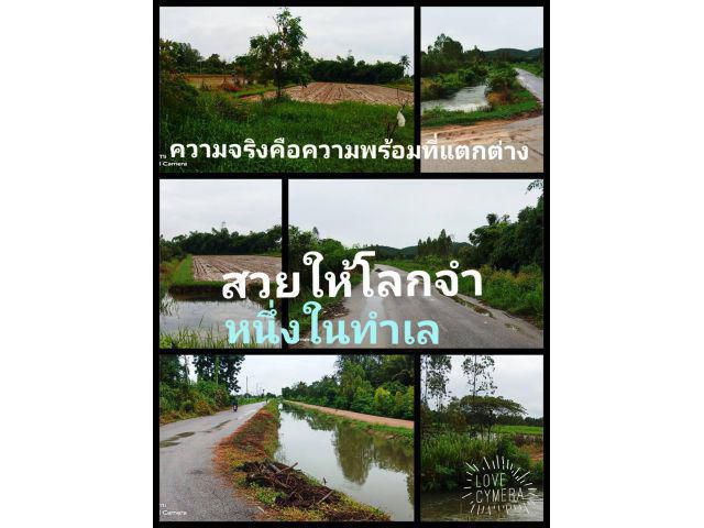 ดูกันให้ชัดๆจัดกันให้เต็มๆ ว่าแปลงนี้มีอะไรมีความพิเศษอะไรบ้าง ที่อยู่อาศัยที่ให้ความพร้อมอย่างที่ไม่กล้าปฏิเสธ ในราคานี้