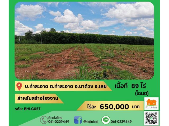 ขายที่ดิน ต.ท่าสะอาด อ.นาด้วง