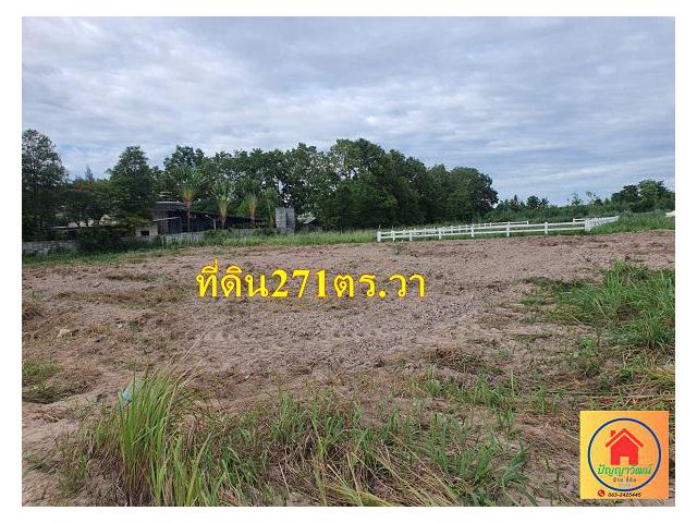 ที่ดินสวยสวนผึ้ง271ตารางวา เหมาะอยู่อาศัย บรรยากาศดีเห็นวิวเขา ใกล้ รีสอร์ทใหม่ห่างจากถนนหลักสวนผึ้ง-ชัฎป่าหวาย1กม.