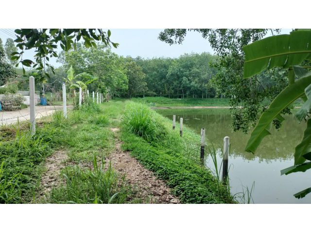 ขายที่ดินติดสระน้ำ สวย ถูก เนื้อที่เยอะ 3 ไร่ 2 งาน ฟรีโอน สดได้ - ผ่อนได้