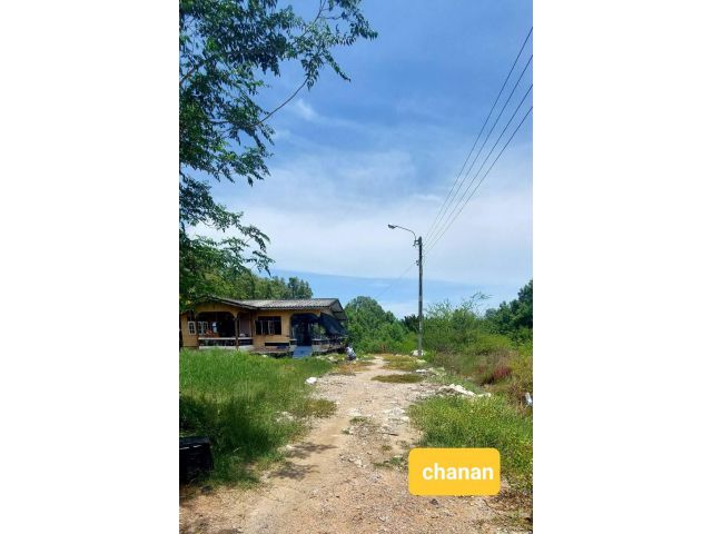ขายที่ดิน ถ.ประชาอุทิศ ประชาอุทิศ90(ซ.กล่ำดิษฐ์)ถ.วัดคลองสวน  เนื้อที่60ตรว