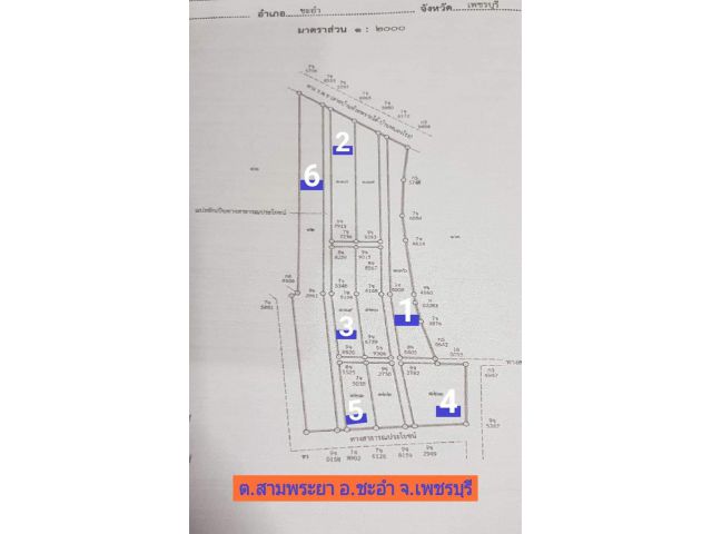 ขายที่ดินเปล่า 7-2-66 ไร่ ติดถนนจอมพล(ทล.1010) ต.สามพระยา