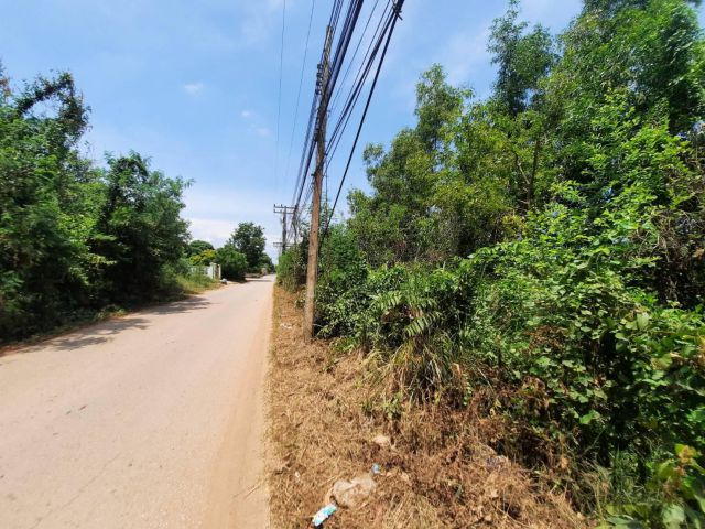 ขายที่ดินพนมสารคาม 1 ไร่ ติดถ.ซอยวัดดอนทอง ใกล้ถ.เส้น 3076 - 450 เมตร จ.ฉะเชิงเทรา