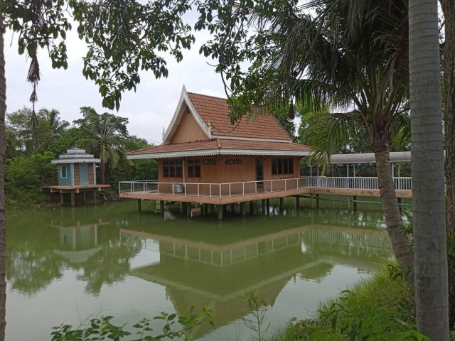 ขายบ้านพร้อมที่ดินหนองยาว 3 ไร่ ติดถ.คอนกรีต ใกล้ถนนเส้น 3002 - 600 เมตร พนมสารคาม ฉะเชิงเทรา
