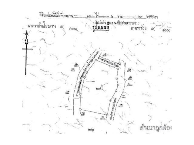 ด่วนขายที่ดินโฉนด ติดถนนทางหลวงแผ่นดิน 2232 สายหนองผือ-กุดข้าวปุ้น ติดถนน 3 ด้าน ทำเลทอง หน้ากว้าง 240 เมตร
