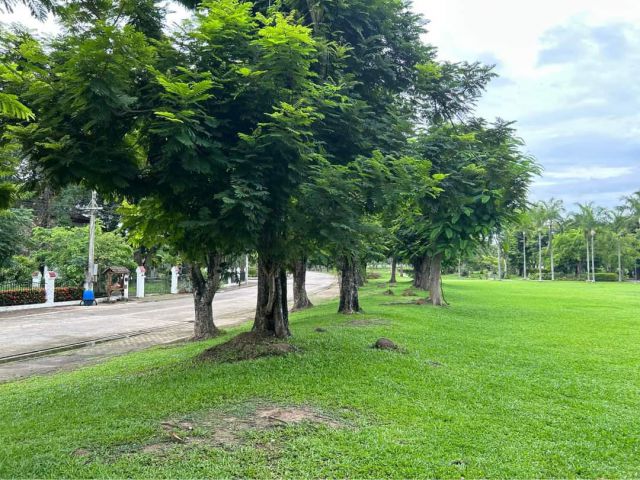 ขายที่ดินตำบลหนองหอยในโครงการใกล้เมืองพร้อมโอน