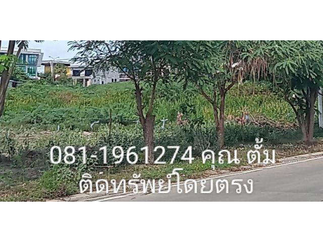 ขายที่ดินโฉนด 22 ไร่ ติดถนนเพชรเกษม ฝั่งทะเล เหมาะทําคอนโด ฯ