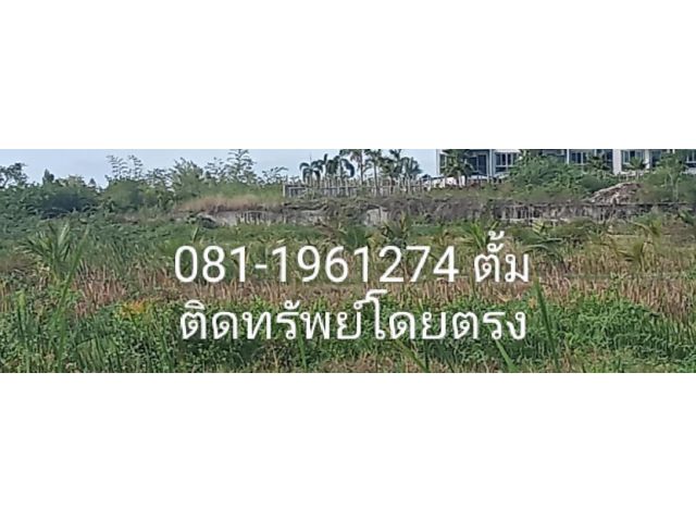 ขายที่ดินโฉนด 22 ไร่ ด้านหน้าติดถนนเพชรเกษม ด้านข้างติดทางซอยลงทะเลชะอํา