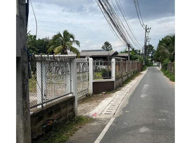 ขายที่ดินตำบลฟ้าฮ่ามท่ากระดาษ ติดถนนล้อมรั้วเรียบร้อย