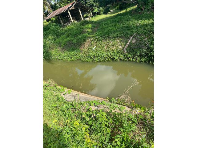 ขายที่ดินบ้านลวงเหนือดอยสะเก็ตติดลำเหมืองพร้อมโอน