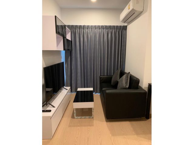 The Tree SUkhumvit 71-Ekkamai for rent 1 bedroom 1 bathroom 35.6 sqm rental 18,000 baht/month