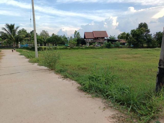 ที่ดิน 2ไร่  บ้านม่วงสามสิบ ติดถนนคอนกรีต