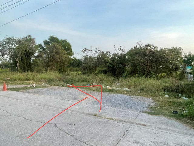 ขายด่วน!! ที่ดิน 506 ตรว