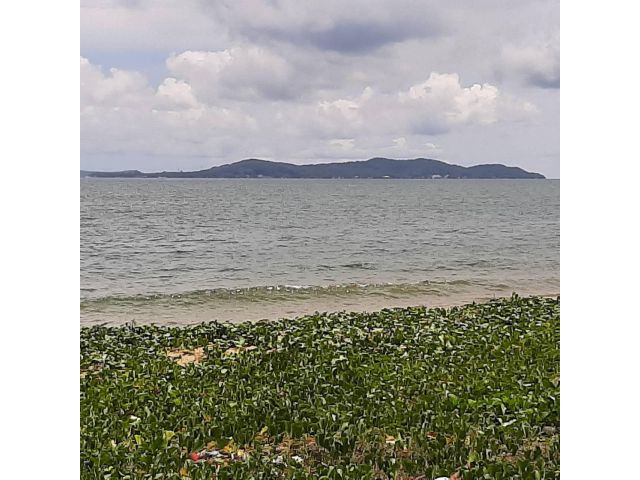 ++ขายที่ดินติดทะเล หาดชมตะวัน แม่พิมพ์ โฉนด   1  ไร่กว่า ระยอง