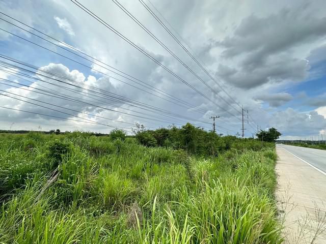 ขายที่ดิน  ต.เกาะขนุน อ.พนมสารคาม จ.ฉะเชิงเทรา