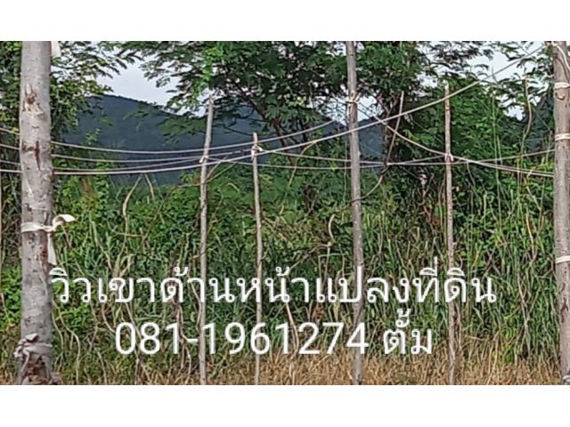 ขายที่ดิน นส3 ก. 2 ไร่ 2 งาน ด้านหน้าติดถนนลาดยาง  ทางไปไร่องุ่น ซีวิวเขา ชัดๆ