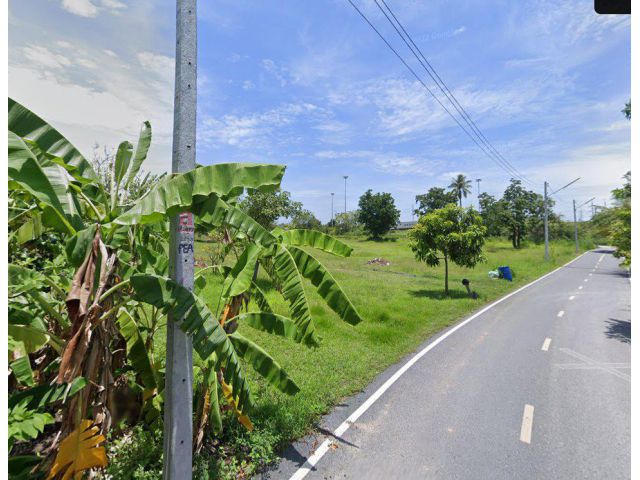 ขายที่ดินเมืองชลบุรี 1 ไร่ ซ.บ้านสวน-หนองข้างคอก31 ใกล้ถนนมอเตอร์เวย์7ขาเข้ากรุงเทพ-100เมตร
