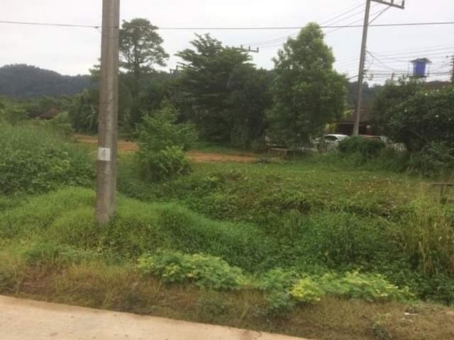 ขายที่ดิน1ไร่ม่าหนิก-บางโจฝั่งถนนออก