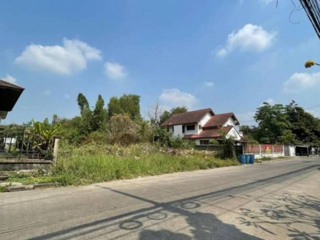 ขาย ที่ดิน เอกทักษิณ 5 250 ตร.วา ติดถนน 2 ด้าน (ทิศ:เหนือ-ใต้) ที่ถมแล้ว (เสมอถนน)
