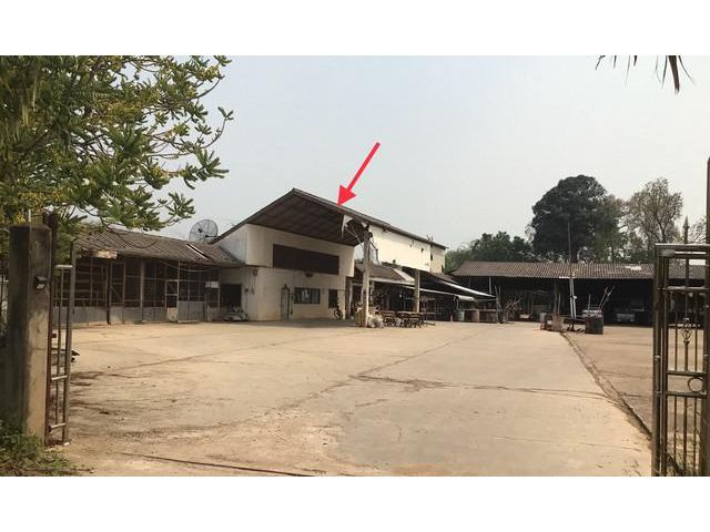 ขายบ้านเดี่ยว   อำเภอเวียงแก่น  เชียงราย