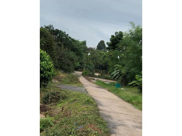 ขายที่ดิน 3 ไร่ ตำบล ตะพง จังหวัดระยอง