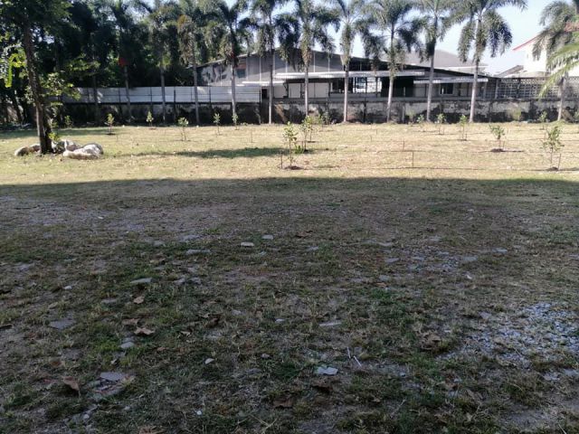 BL119 ขายที่ดินพร้อมอาคาร สุขุมวิท 62