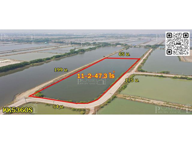 ขายที่สร้างโรงงาน 11.5 ไร่ ขอใบ รง.4 ได้ ใกล้กรุงเทพฯ หน้ากว้างเด่น 175 ม. ใกล้เส้นบางขุนเทียน - KK5360S