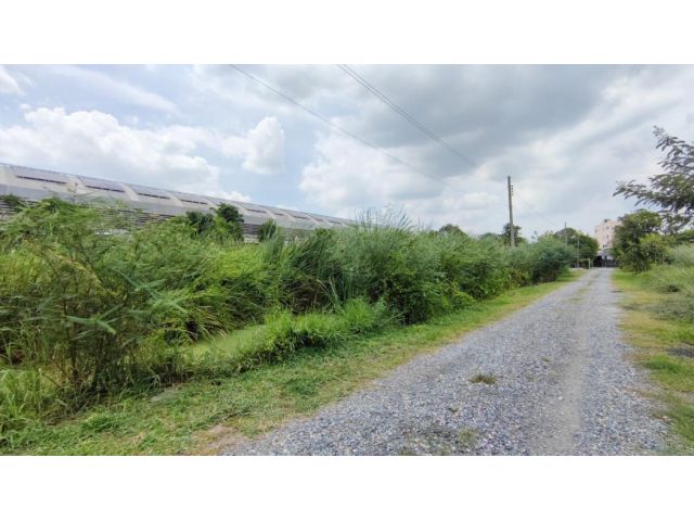 ขาย ที่ดินเปล่า 368 ตร.วา อ่อนนุช 80 ประเวศ มีไฟฟ้าและประปา เข้าซอยเพียง 600 ม.