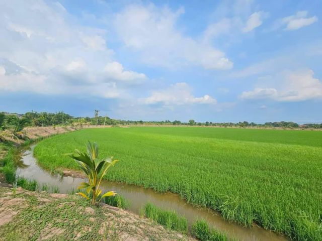 ขายที่ดินบ้านพลับ 19 ไร่ (คลองเขื่อน) ใกล้วัดบางกระเจ็ด - 4.3 กม. อ.บางคล้า ฉะเชิงเทรา