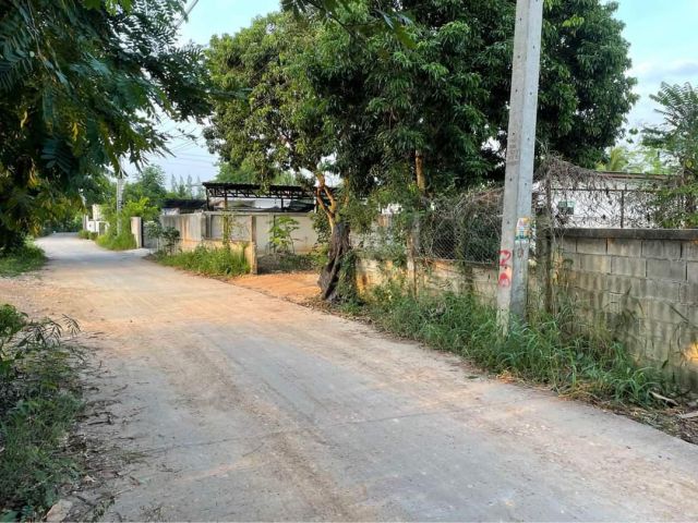 ขายที่ดินตำบลหนองจ๊อมสันทรายติดถนนพร้อมโอน