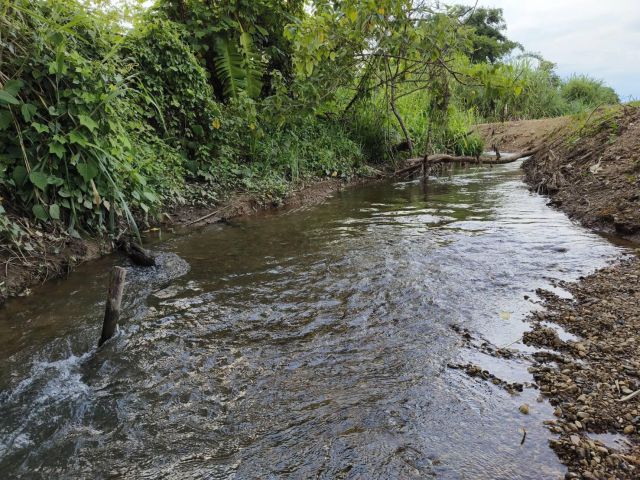 ขายที่ดินติดน้ำปิงติดลำธารน้ำวิวดอยหลวงเชียงดาวพร้อมโอน