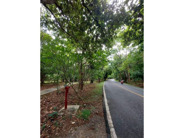 ขายที่ดินใกล้ไนท์ซาฟารีใกล้เมืองเดินทางสะดวกพร้อมโอน