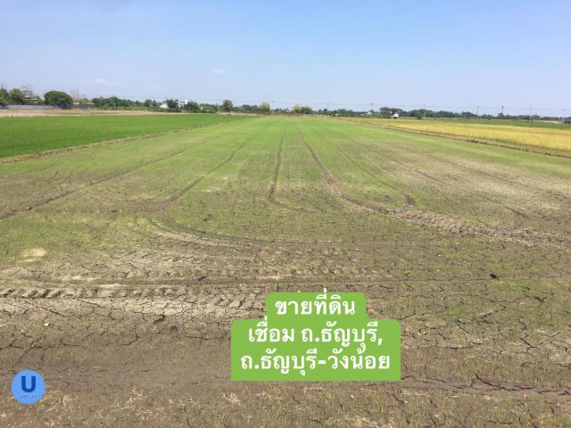 ขายที่ดินติดถนนธัญบุรี คลองเจ็ด คลองหลวง ปทุมธานี